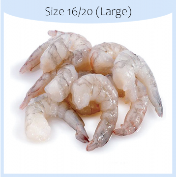 WHITE PD SHRIMP (VANNAMEI) 16/20 大虾球