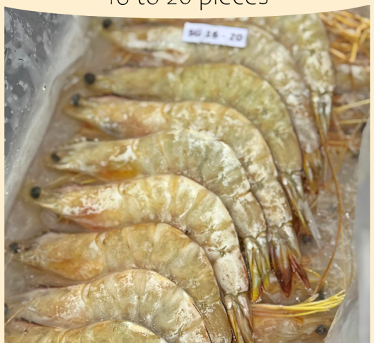 Frozen wild-caught White Prawn Ang Ka, succulent and flavorful, perfect for versatile seafood cooking
