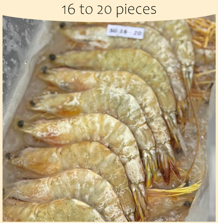 Frozen wild-caught White Prawn Ang Ka, succulent and flavorful, perfect for versatile seafood cooking