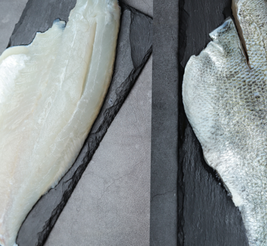 Frozen spotted seabass fillet, individually packaged for freshness and convenience