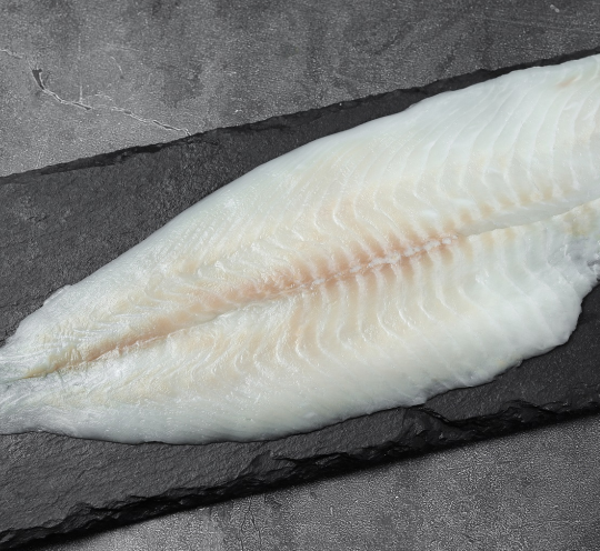 Frozen flounder fillet with flaky flesh and a slightly firm texture, perfectly preserved for freshness