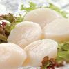 Frozen scallop meat packed and ready for cooking