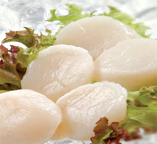 Frozen scallop meat packed and ready for cooking