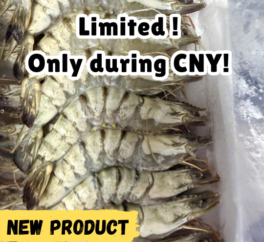 Premium frozen sea tiger prawn 16/20 raw prawns