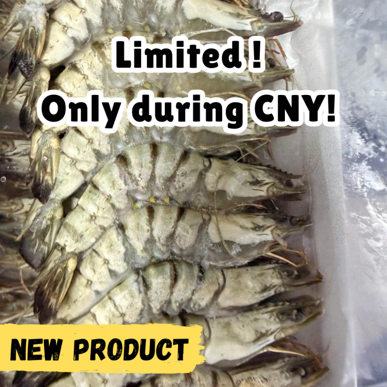 Premium frozen sea tiger prawn 16/20 raw prawns